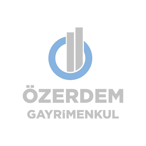Ayşe Sayın